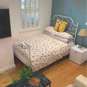Mock Georgian, Modern Hackney Delight , London Großbritannien